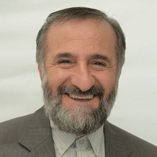 مهران رجبی