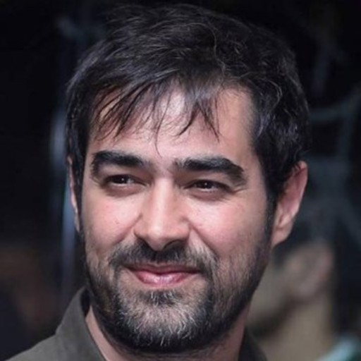 شهاب حسینی