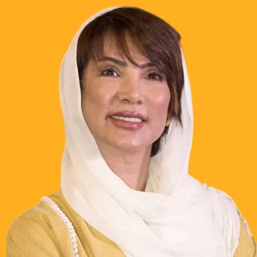 مهشید افشارزاده
