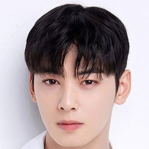 Cha Eun-Woo