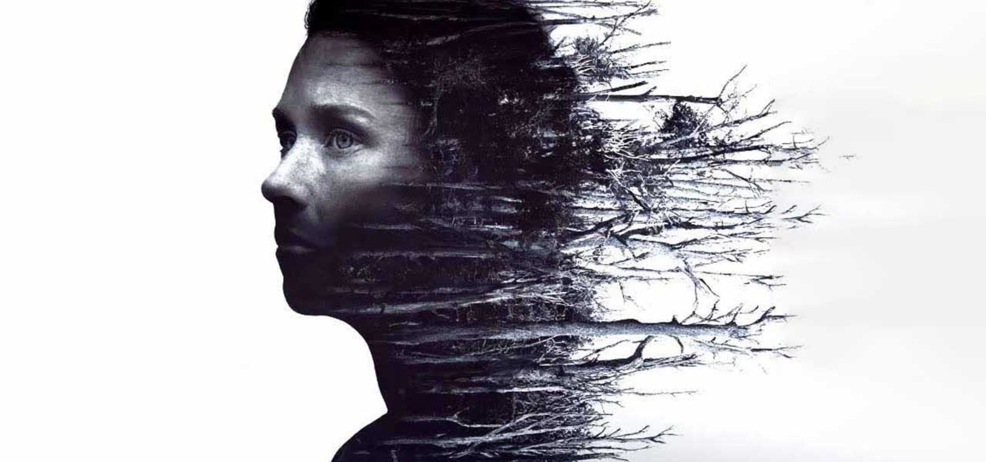 دانلود فیلم The Arborist 2025