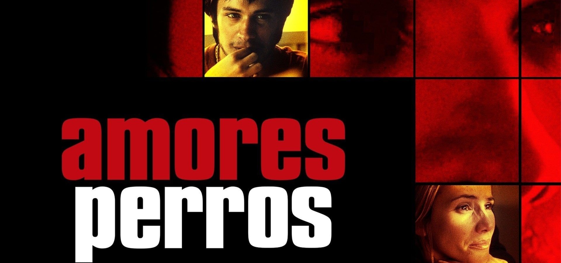 دانلود فیلم Amores perros 2000