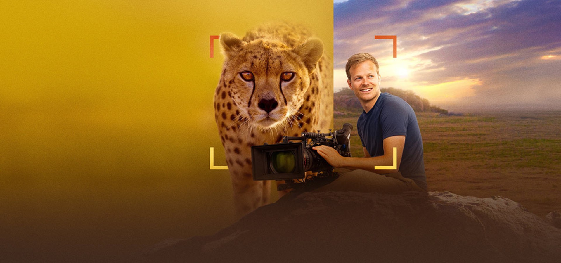 دانلود فیلم Cheetahs Up Close with Bertie Gregory 2026