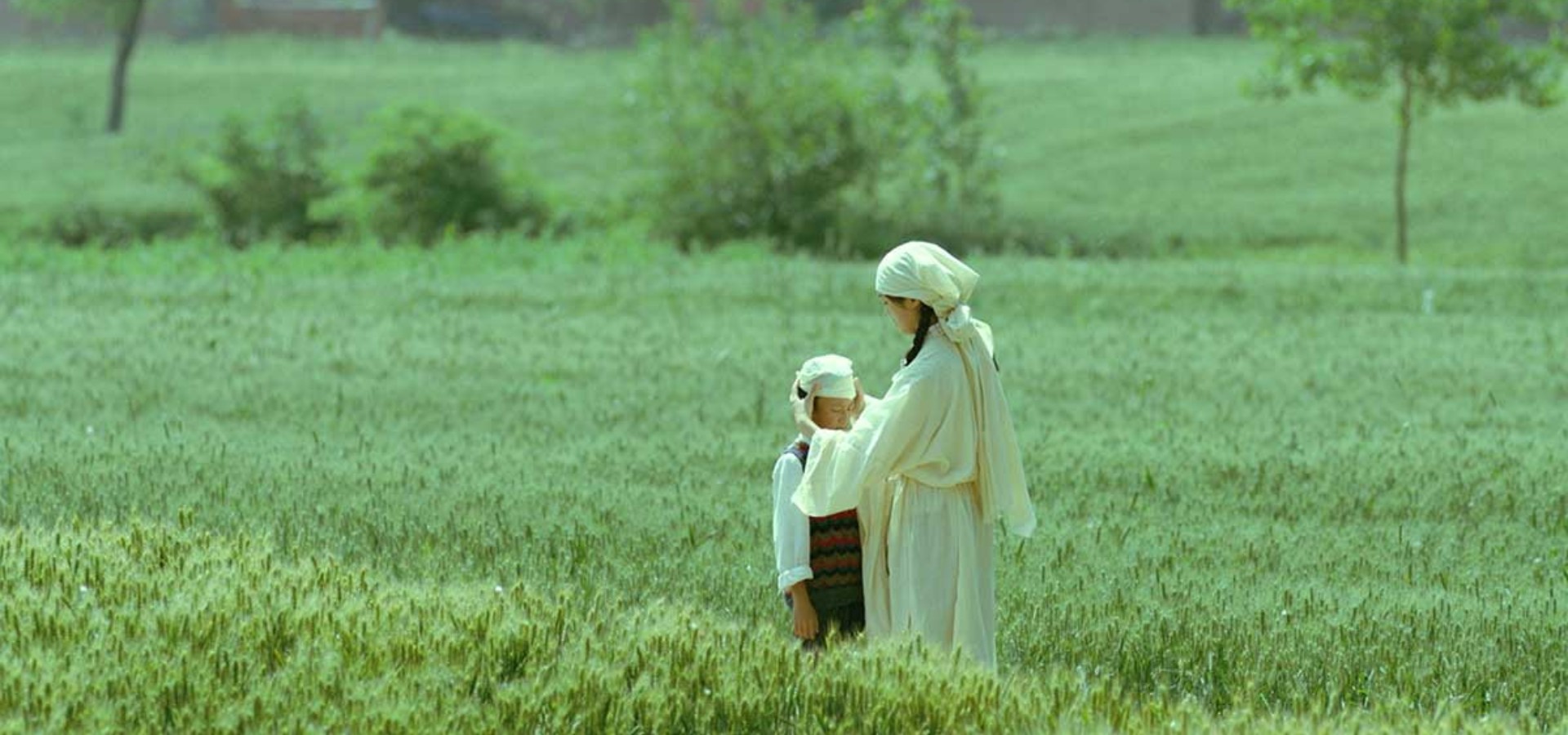 دانلود فیلم Living the Land 2025