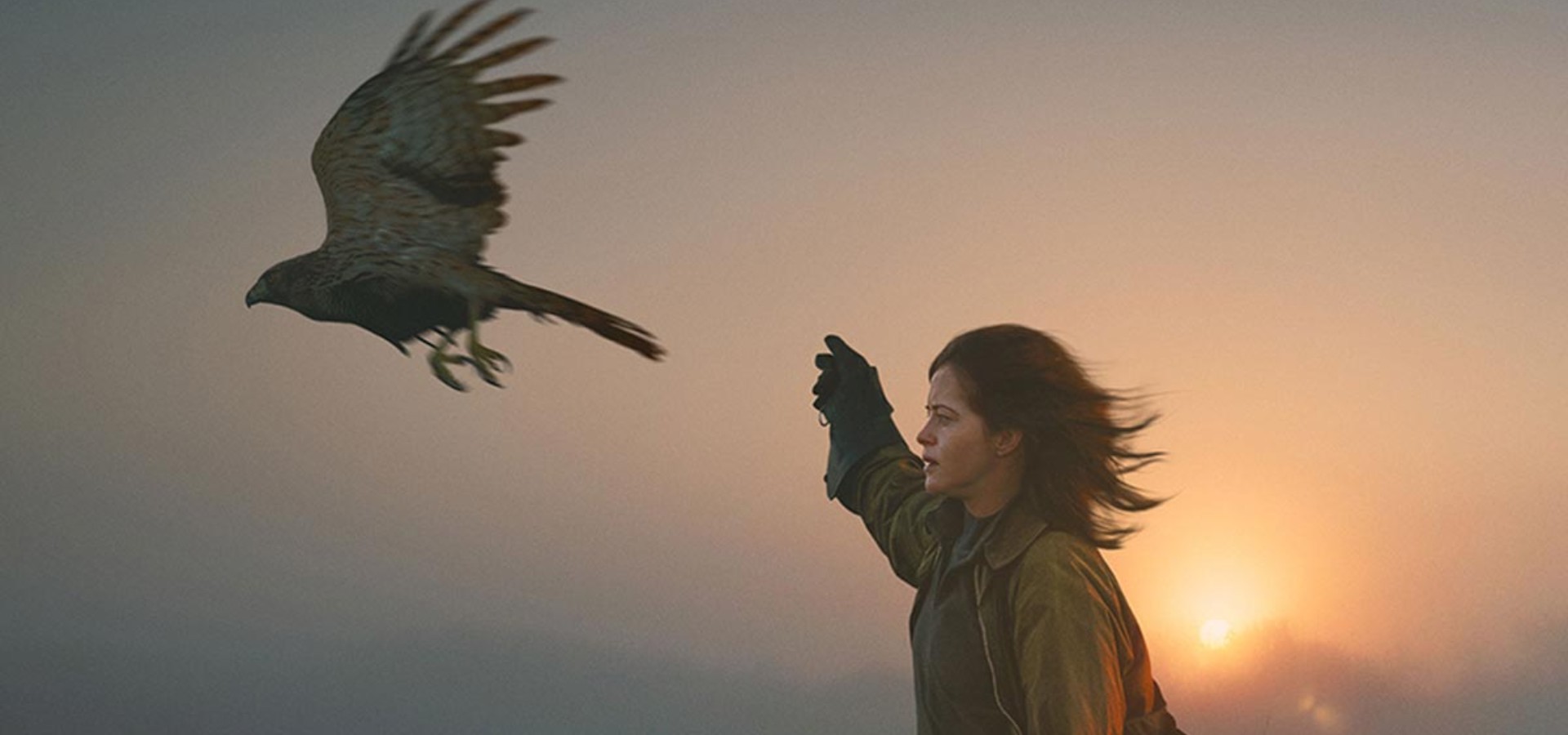 دانلود فیلم H Is for Hawk 2025