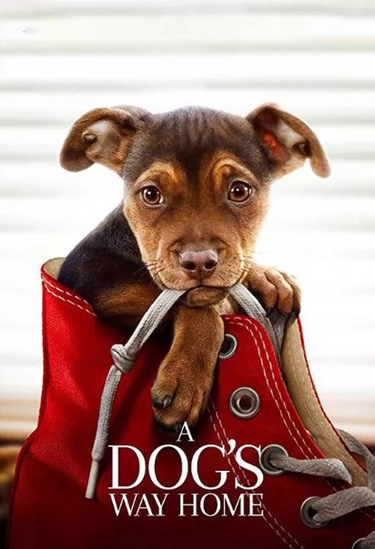 دانلود فیلم A Dog's Way Home 2019