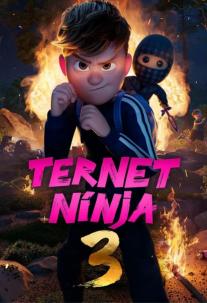 دانلود فیلم نینجای شطرنجی ۳ Checkered Ninja 3