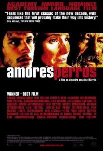 دانلود فیلم عشق سگی Amores perros