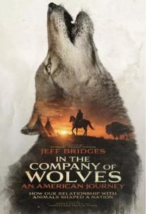 دانلود فیلم در کنار گرگ ها: سفری آمریکایی In the Company of Wolves: An American Journey