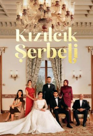 دانلود سریال Cranberry Sorbet (Kizilcik Serbeti) 2022