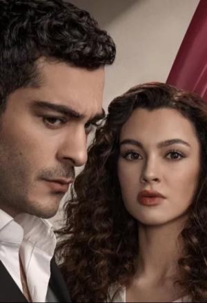 دانلود سریال (Bir Gece Masali) A Night’s Tale 2024