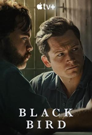 دانلود سریال Black Bird 2022