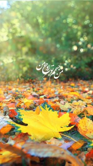 یار....